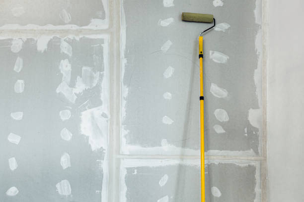 Best Basement Mold Removal  in Corning, NY