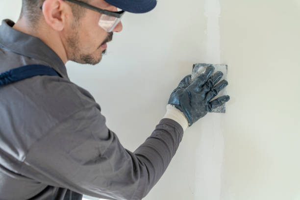 Best Mold Documentation for Insurance Claims  in Corning, NY