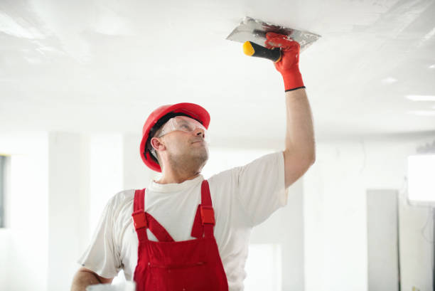 Best Mold-Related Health Consultation  in Corning, NY