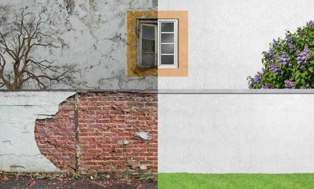 Best Comprehensive Air Testing for Mold Contaminants  in Corning, NY